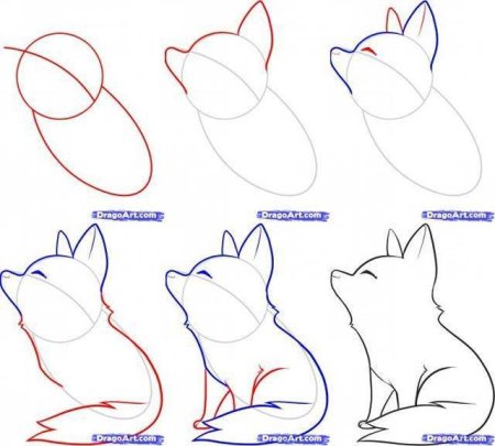 Как рисовать волка