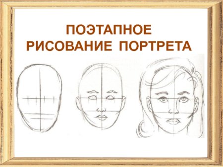 Конструкция головы человека