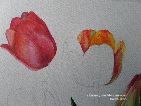 Поэтапное рисование цветов красками