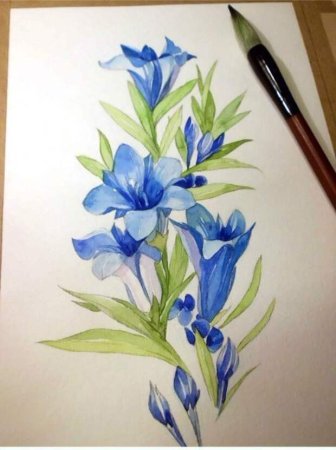 Цветы акварелью для начинающих