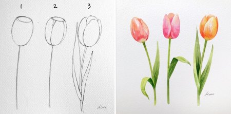 Схемы рисования цветов акварелью