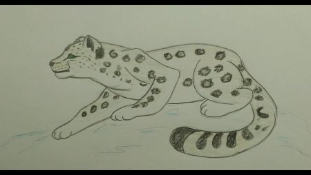 Нарисовать снежного Барса