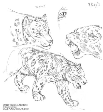 Барс референс