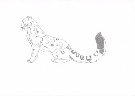 Снежный Барс карандашом легко