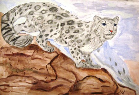 Поэтапное рисование снежного Барса