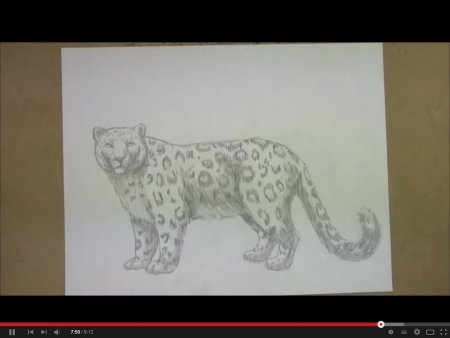 Леопард рисунок карандашом поэтапно