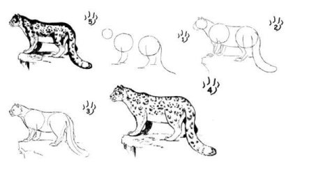 Снежный Барс рисунок для детей