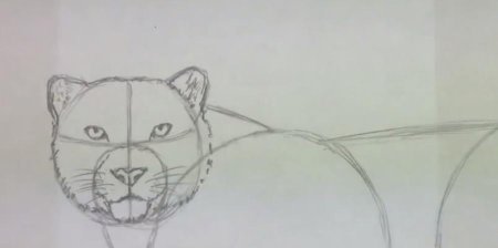 Снежный Барс сбоку рисунок