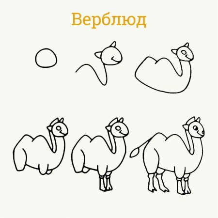 Нарисовать верблюда