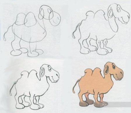 Верблюд рисунок 4 класс