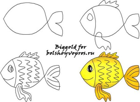 Рисование Золотая рыбка старшая группа