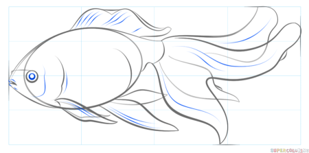 Рисование золотой рыбки поэтапно