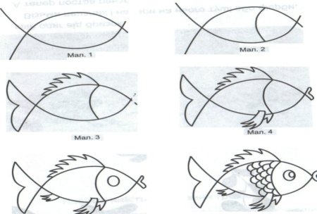 Поэтапное рисование для малышей