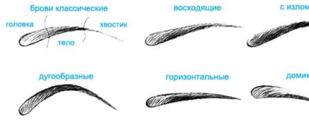 Нарисовать брови карандашом пошагово для начинающих