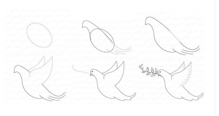 Поэтапное рисование голубя мира