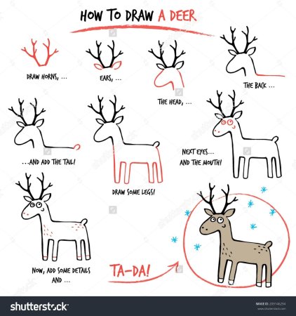 Поэтапное рисование оленя