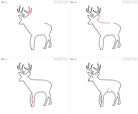 Этапы рисования оленя