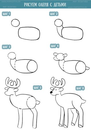 Схема рисования оленя для детей