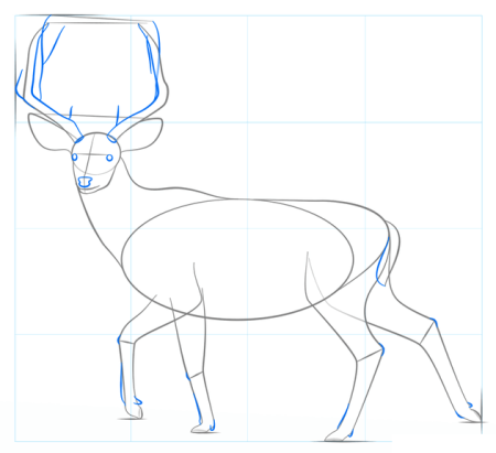 Рисуем красивую морду оленя поэтапно
