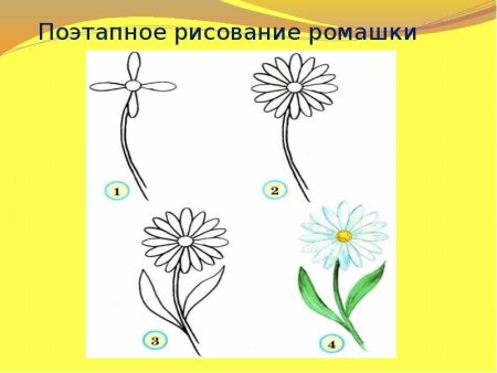 Рисование ромашки поэтапно