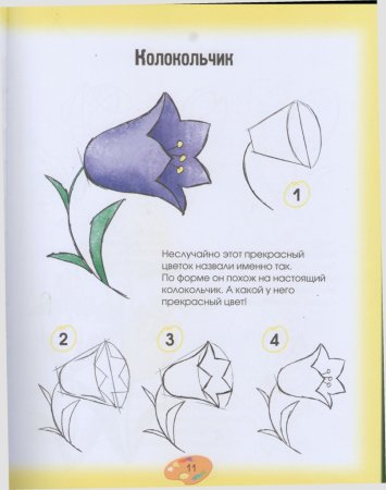 Колокольчик цветок рисование