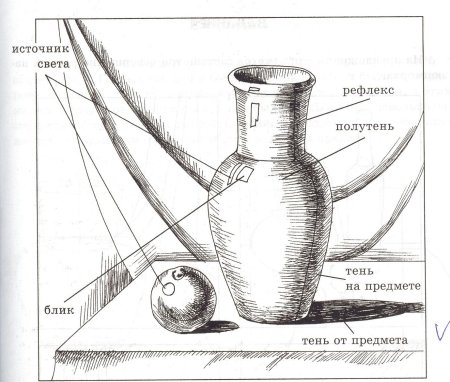 Натюрморт для детей поэтапно