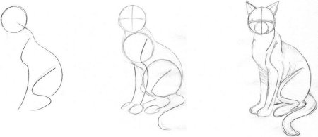 Кот сидит рисунок
