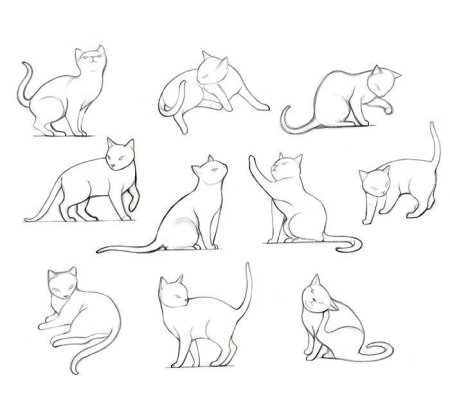 Кот для рисования