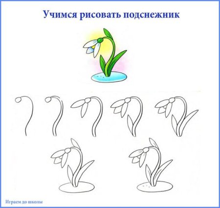 Поэтапное рисование подснежника