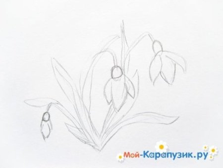 Рисунок карандашом для 7 класса подснежники