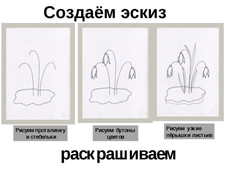Пошаговое рисование подснежника для детей