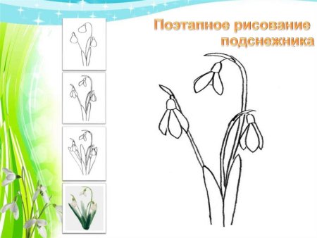Подснежники рисунок легкий