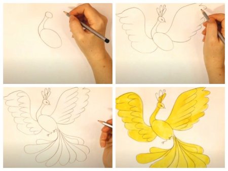Рисование Жар птицы поэтапно