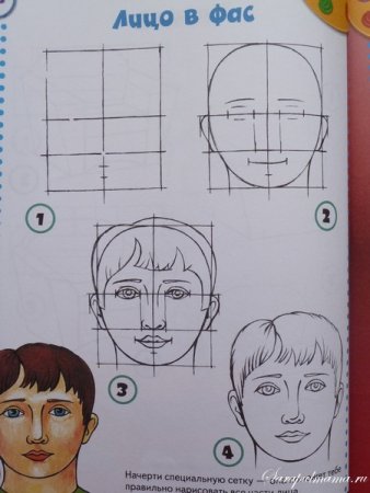 Последовательность рисования портрета для детей