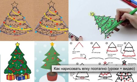 Поэтапное рисование елки