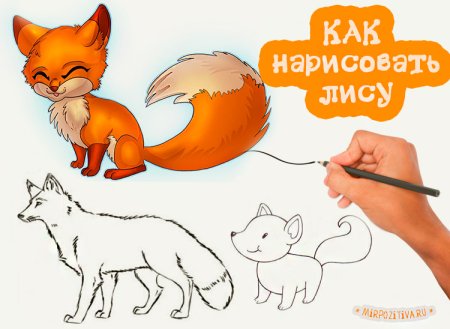 Этапы рисования лисы