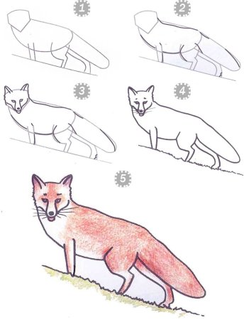 Поэтапный рисунок вороны и лисицы