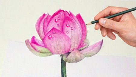 Картинки для срисовки красивые цветные