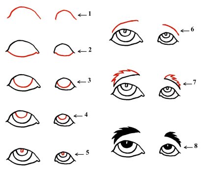 Схема построения глаза в рисунке