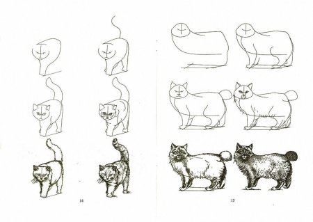 Кот для рисования
