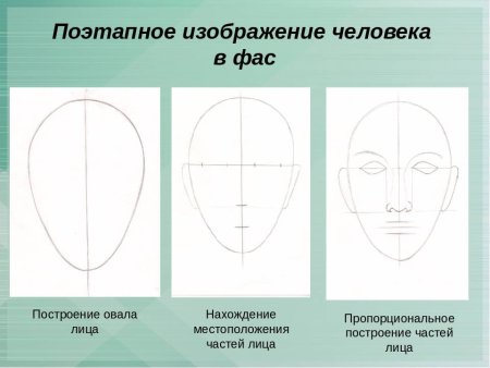 Схема лица человека для рисования