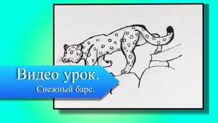 Как нарисовать снежного Барса видео