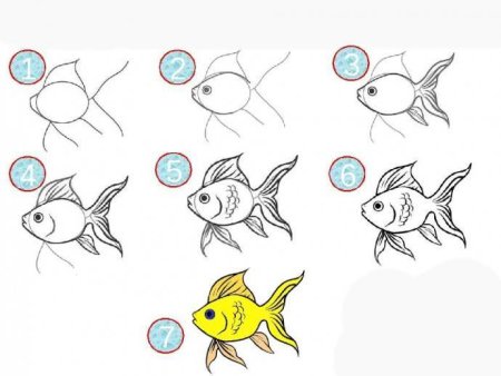 Поэтапное рисование рыбки