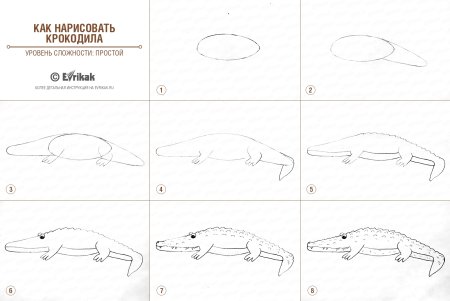 Как нарисовать крокодила пошагово