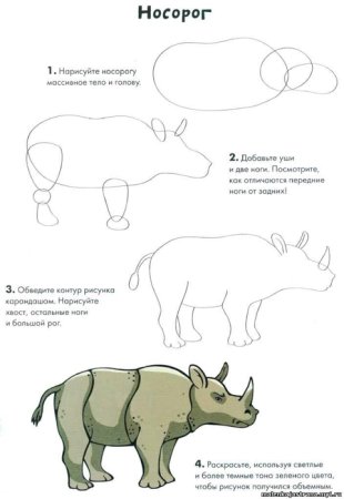 Схема рисования носорога