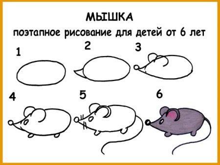 Поэтапное рисование мышонка для дошкольников