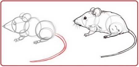 Рисунок мыши для срисовки