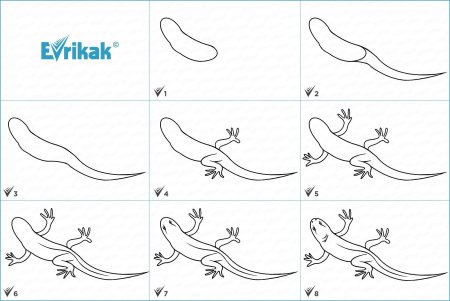 Тритон рисунок для детей поэтапно
