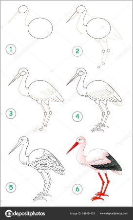 Нарисовать аиста поэтапно