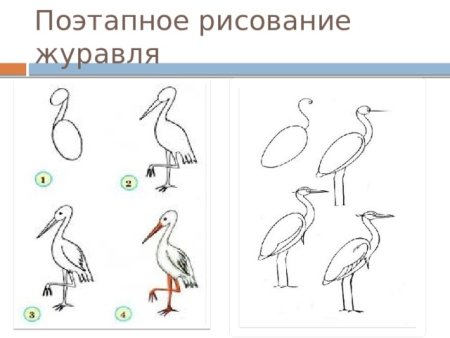 Поэтапное рисование стерха